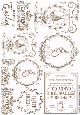 Producto - RABBIT 11B MIXED