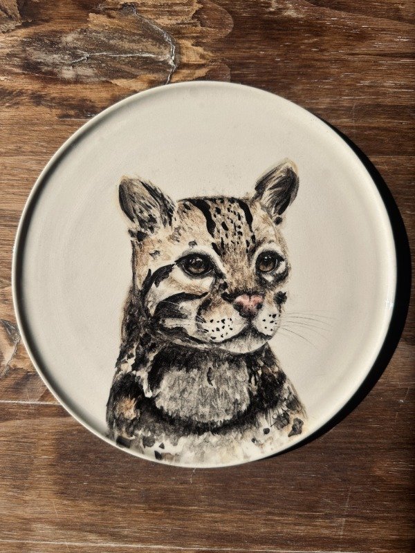 Producto - Plato felino