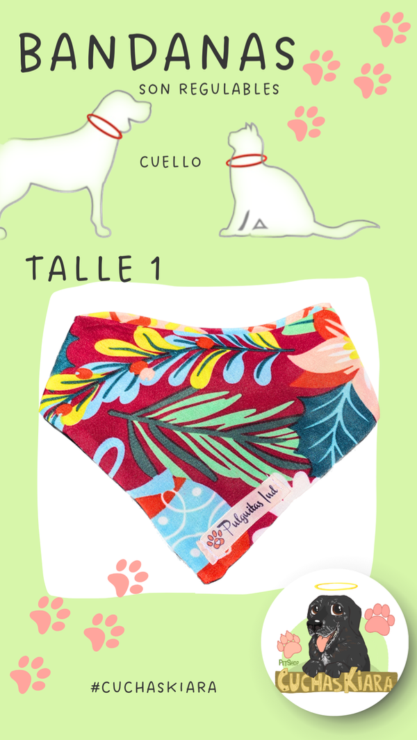 Producto - Bandana Talle 1