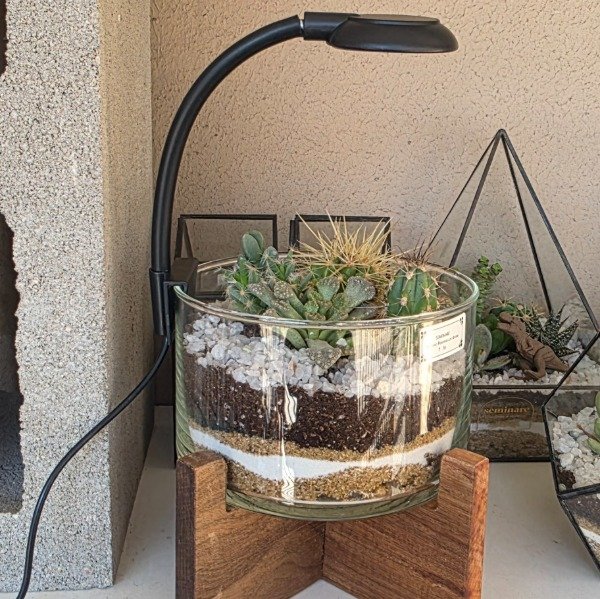 Producto - Terrario Paloma con base y luz led - 2
