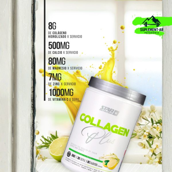 Producto - Collagen PLUS Limon 360 Gr en polvo - 1