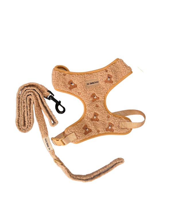 Producto - set teddy bear x2