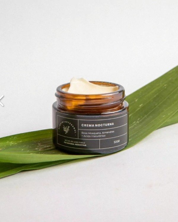 Producto - Crema nocturna rosa mosqueta