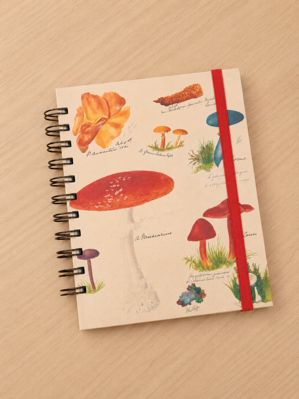 Producto - Libreta de hojas lisas