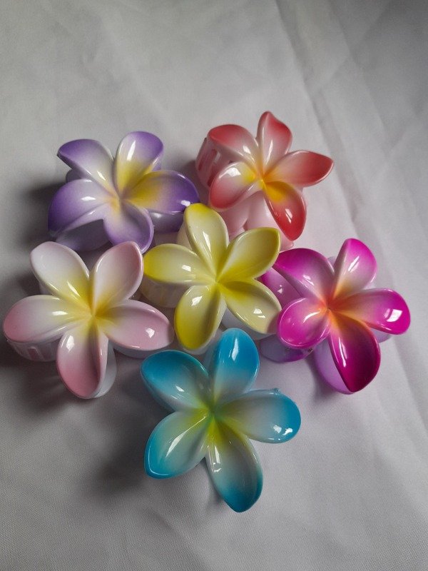 Producto - BROCHE HAWAII