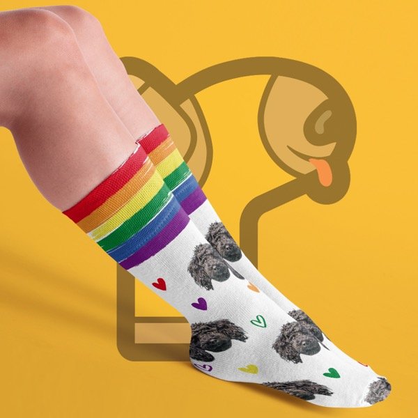Producto - Media Pet Pride