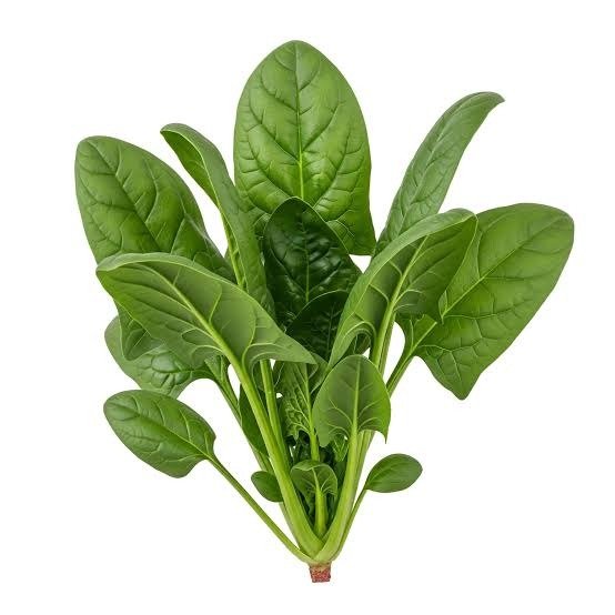 Producto - Espinaca - Huerta en Casa - 0