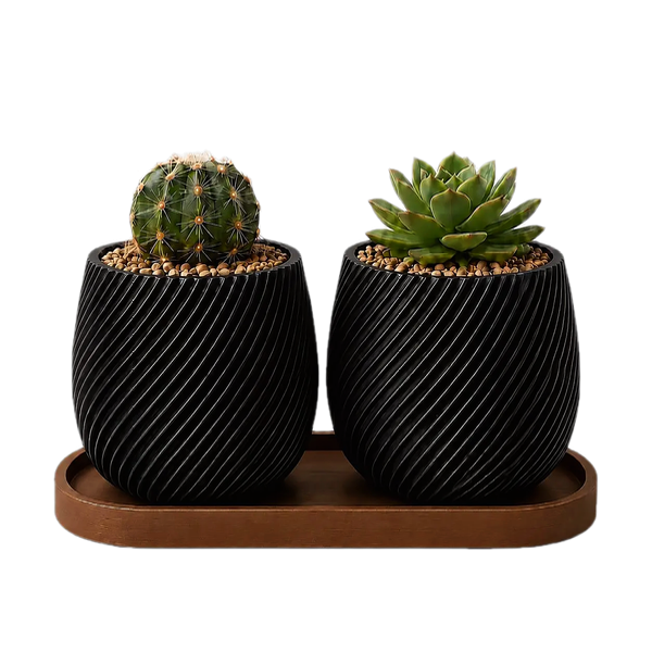 Producto - Set Macetas Gemelas con Bandeja - Ideal Cactus y Suculentas - 1