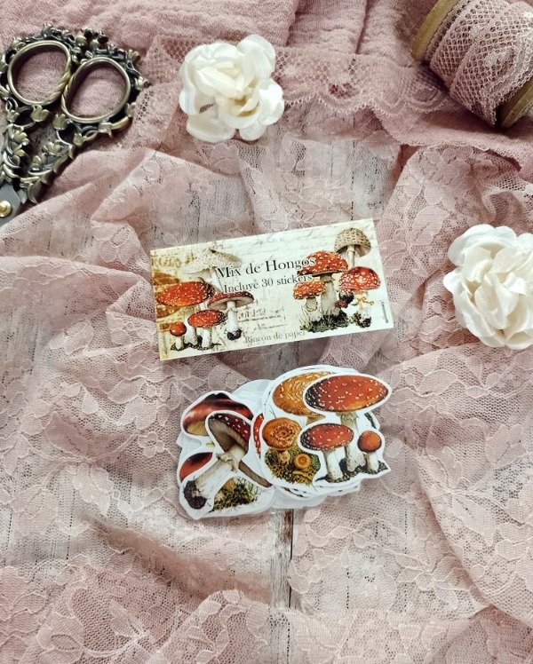 Producto - Mix de hongos