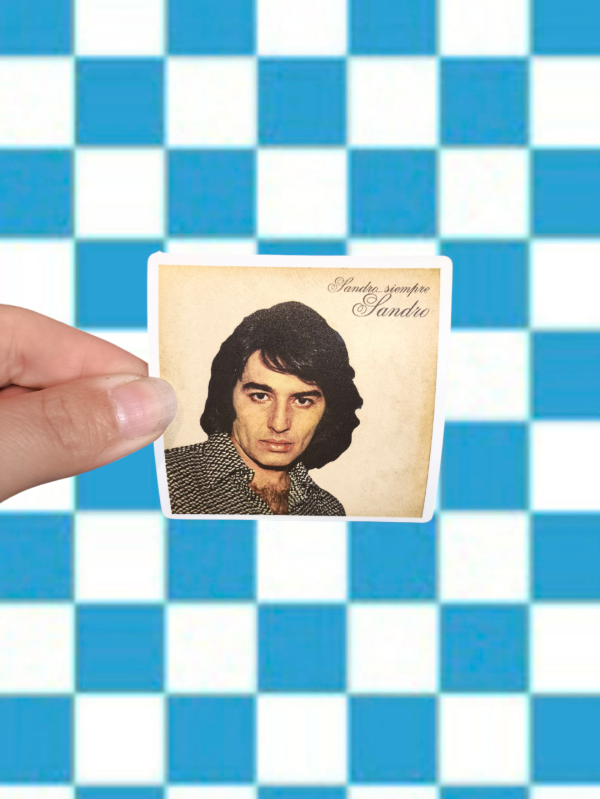 Producto - Stickers vinilo Sandro