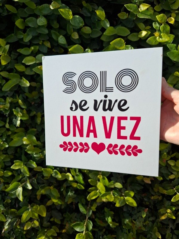 Producto - Vinilo Solo se vive una vez - 2
