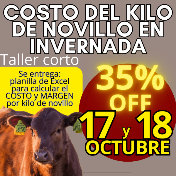 Producto - Taller corto: cálculo del costo del kilo de novillo - 0