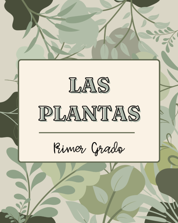 Producto - Las Plantas