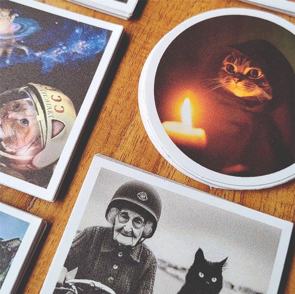 Producto - Gatos - Stickers Divertidos Vinilo (apto agua)