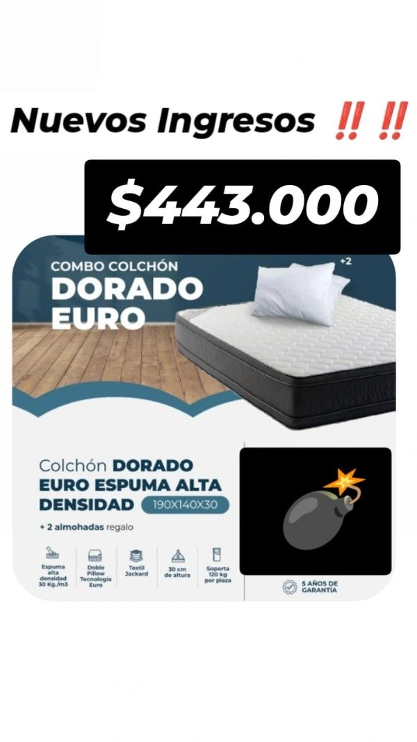 Producto - SOMMIER EURO
