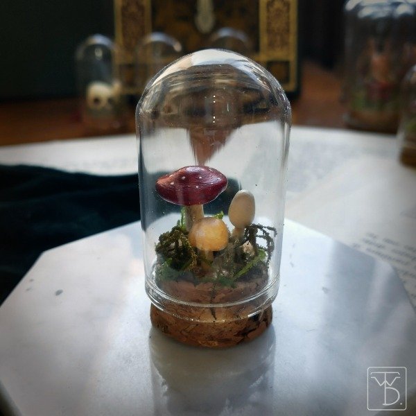 Producto - Cápsulas - Honguitos (3x5cm)
