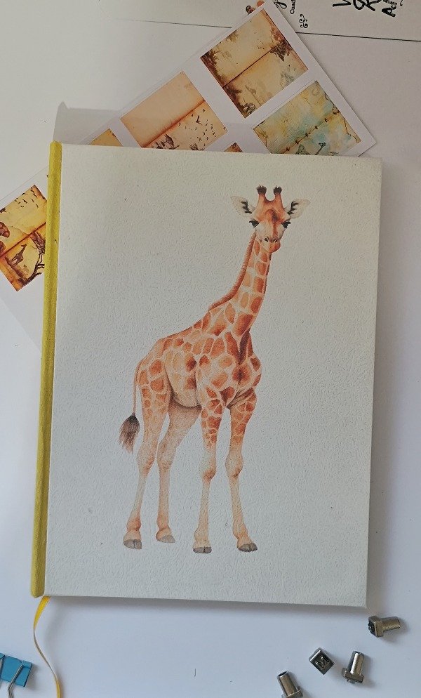Producto - Safari