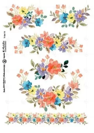 Producto - Transfer 20x30 cm Bot 10