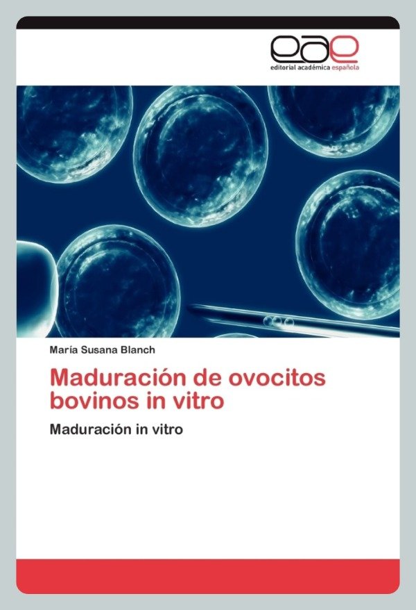 Producto - Blanch: Maduración de Ovocitos Bovinos in Vitro