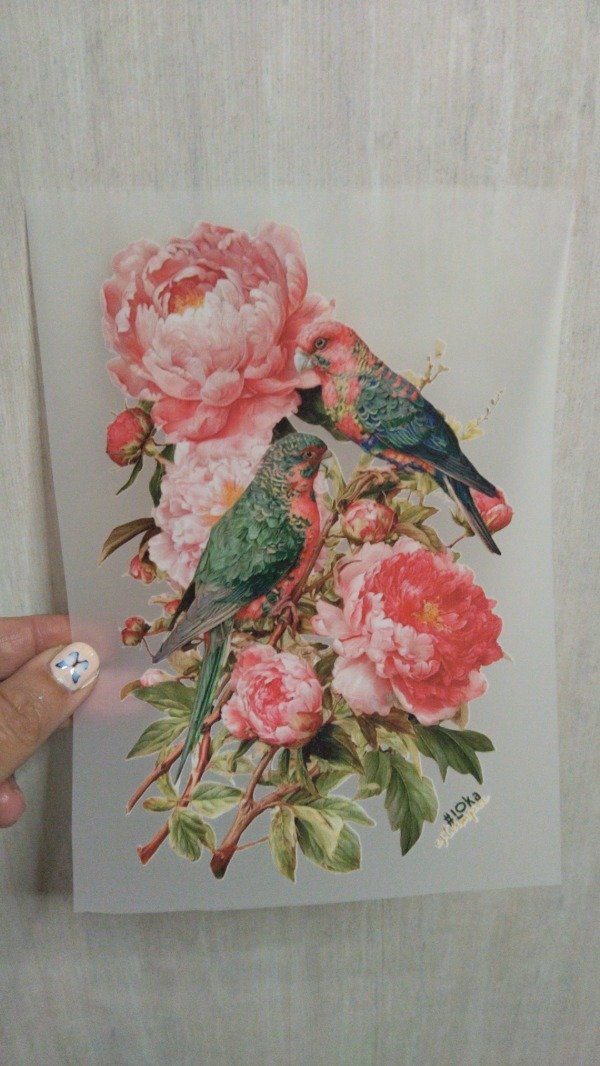 Producto - Termotransferible 19x20cm aprox #25