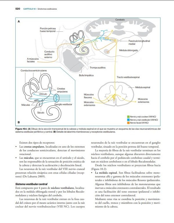 Producto - Morales: Neurología Canina y Felina, 2da - 3