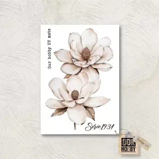 Producto - Transfer UV 061