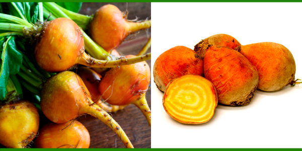 Producto - Remolacha dorada sin hoja agroecológica x kilo