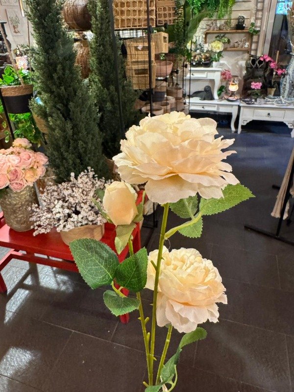 Producto - Vara Clavel Doble coral 65 cm (Efectivo: 5.200)