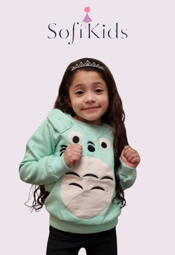 Producto - BUZO TOTORO