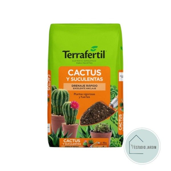 Producto - Cactus y Suculentas - Terra Fértil