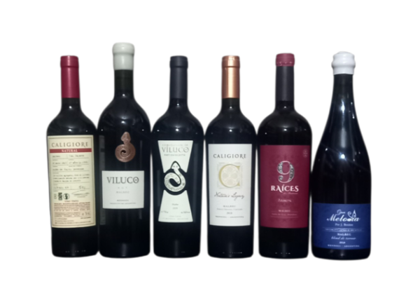 Producto - Promociones - MALBEC 9