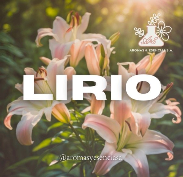 Producto - Lirio