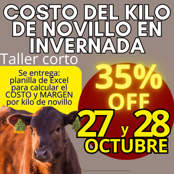 Producto - Taller corto: cálculo del costo del kilo de novillo - 0