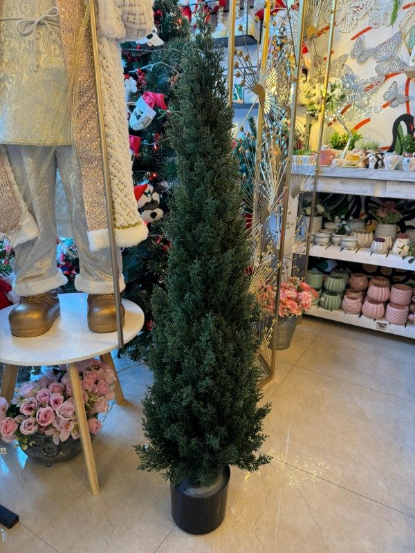Producto - Arbol Thuja 1,20 mts (Efectivo: 199.920)