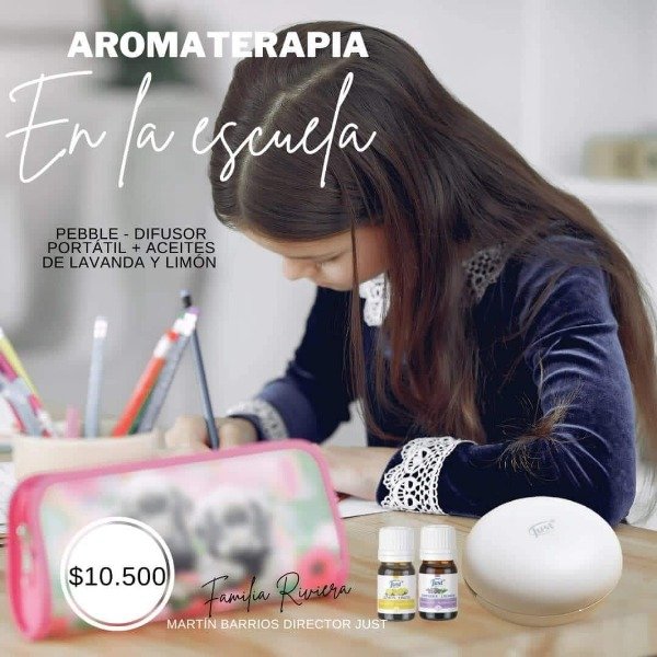 Producto - Difusor Pebble  Inalambrico