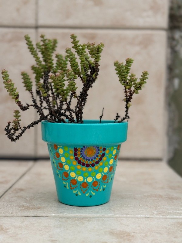 Miniatura de producto - 12