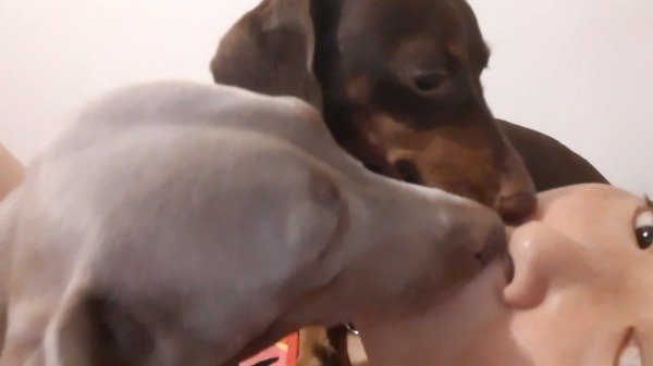 Producto - 25-003 Blue and Silver Kiss (4.40 min)