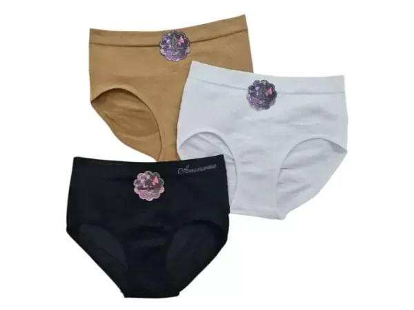 Producto - 73446 - Bombacha de Señora Sin Costura - 0
