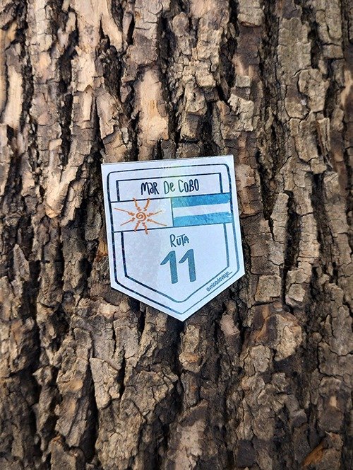 Producto - Imán Mar de Cobo - Ruta 11