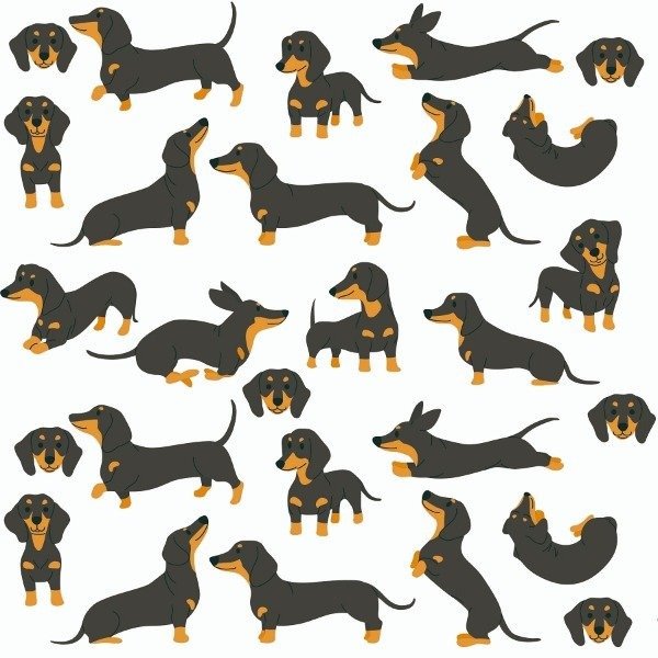 Producto - PERRO - 009