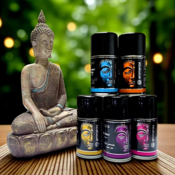 Producto - AROMATIZANTE DE AMBIENTE CONCENTRADO AROMANZA