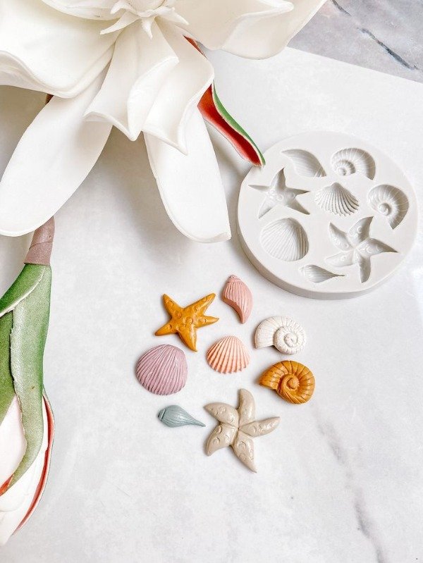 Producto - Molde Caracoles y Estrellas de Mar