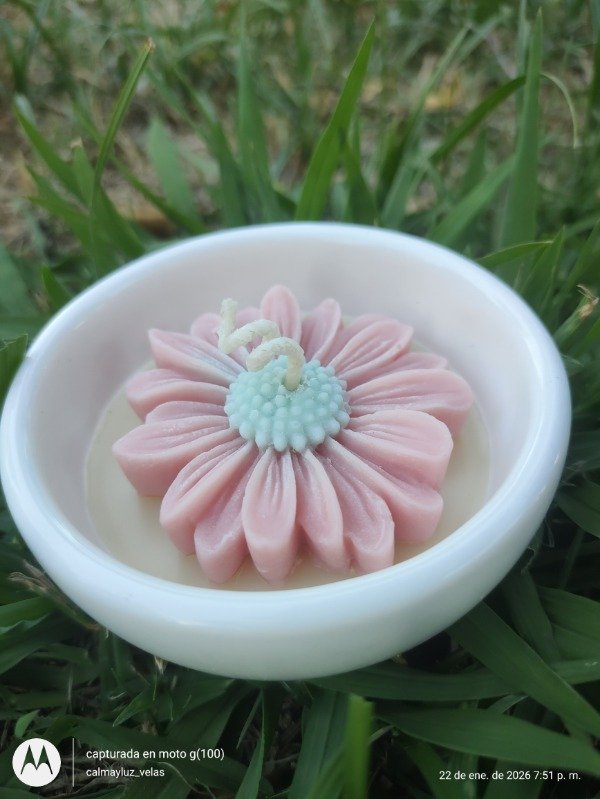 Producto - Cuenco Aruba Margarita