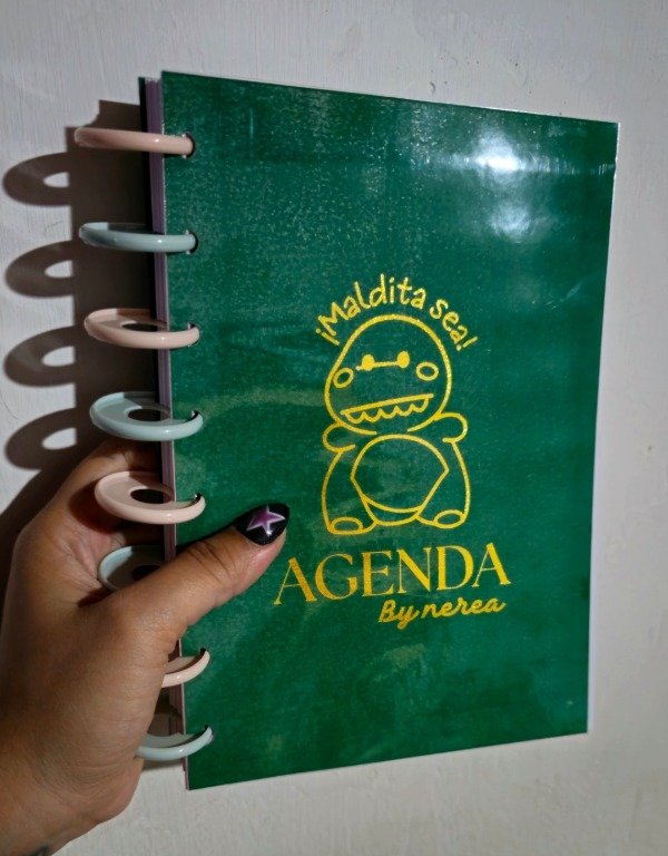 Producto - Agenda sistema discos verde