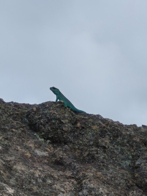 Miniatura de producto - 7