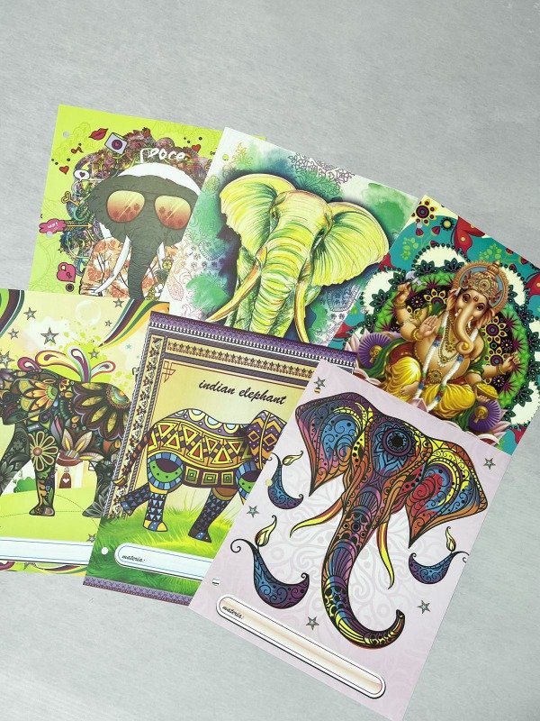 Producto - Asignatura n3 Elefante mandala