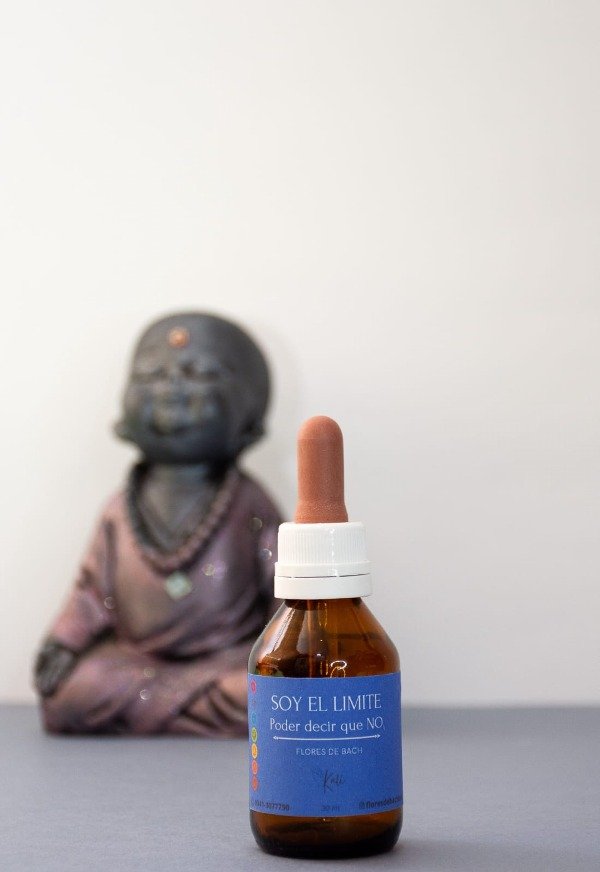 Producto - "SOY EL LIMITE - Poder decir que NO -