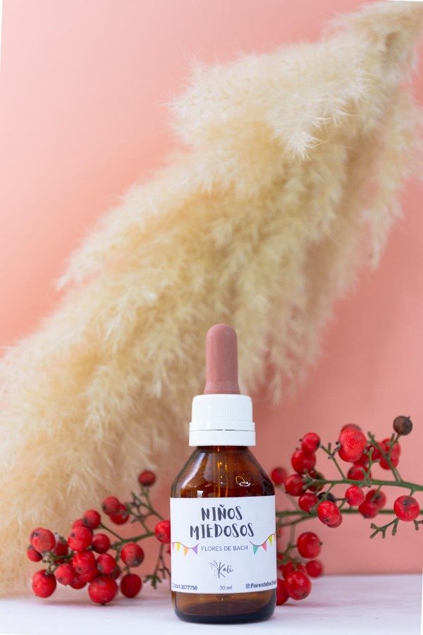 Producto - NIÑOS MIEDOSOS