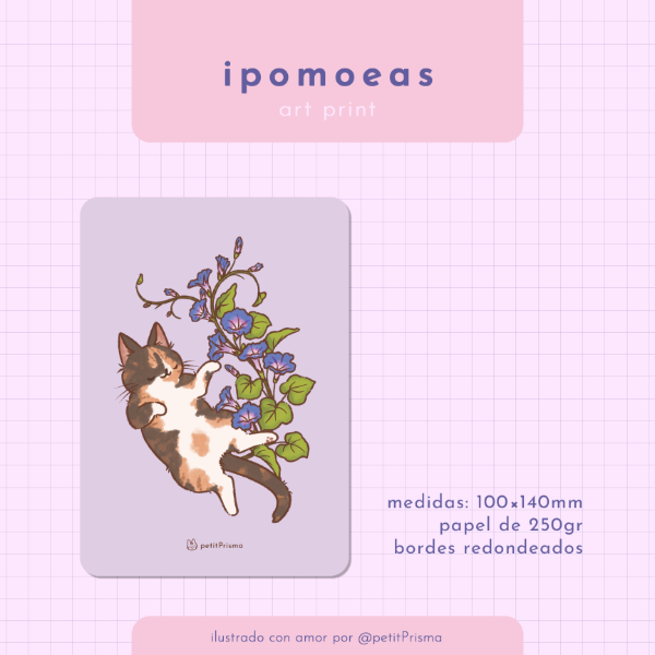 Producto - Art Print "Ipomoeas"