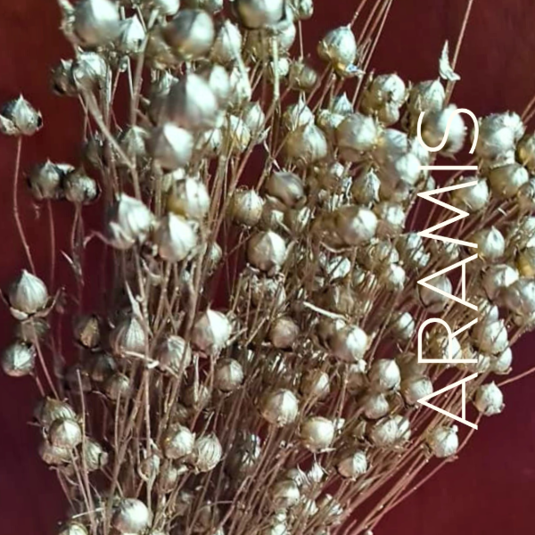 Producto - Lino dorado